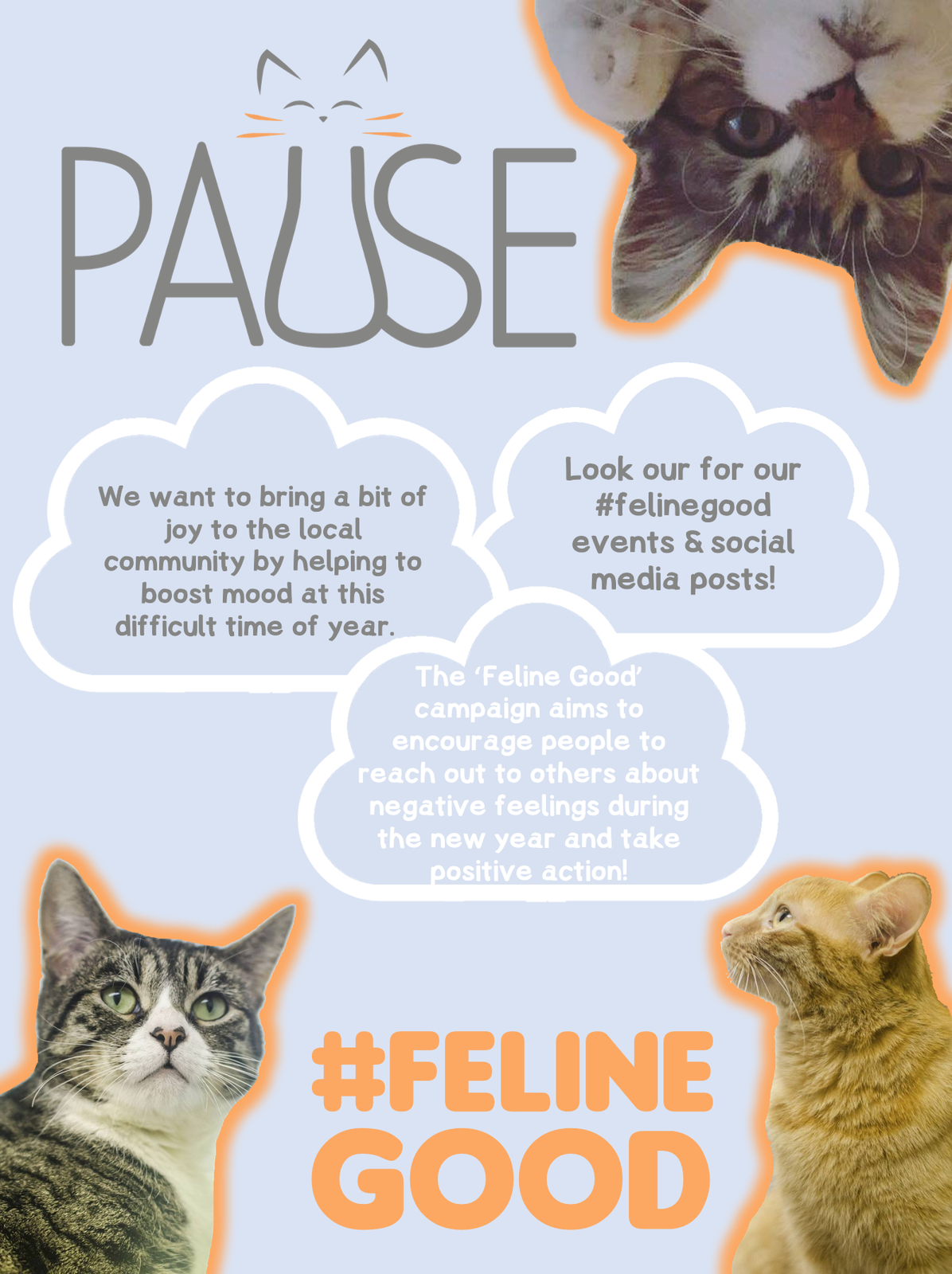  Cats  and Mental Health Pause  Cat  Cafe  s FelineGood Campaign