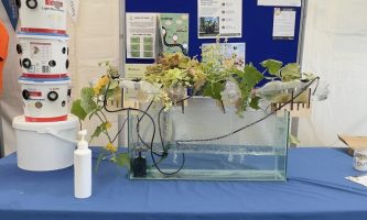 No Soil? No Problem: How Students are Cultivating Young Minds, and Cabbages, Using Hydroponics